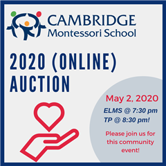 2020 CMS virtual auction may 2020