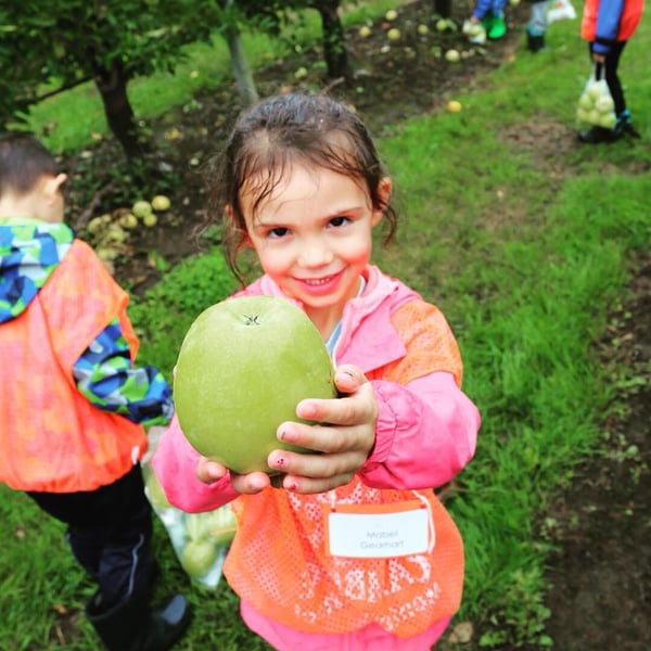 mabel montessori apple picking